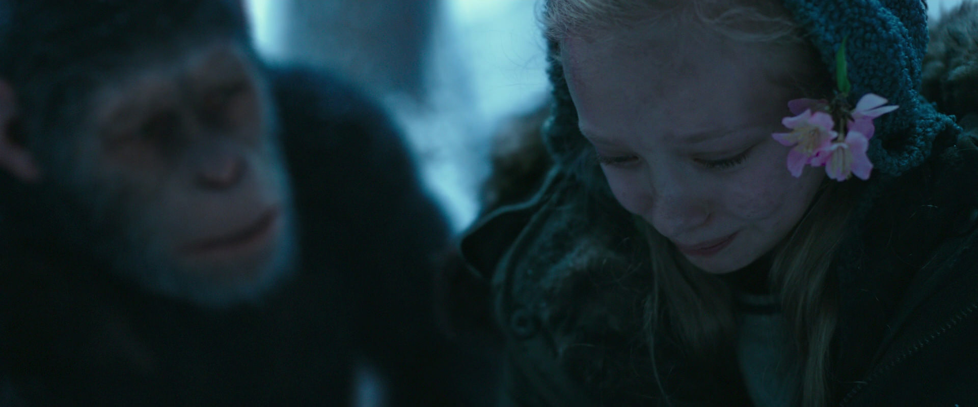War for the Planet of the Apes (2017) movie still 6676