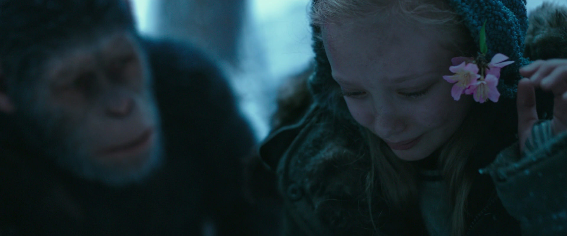 War for the Planet of the Apes (2017) movie still 6679