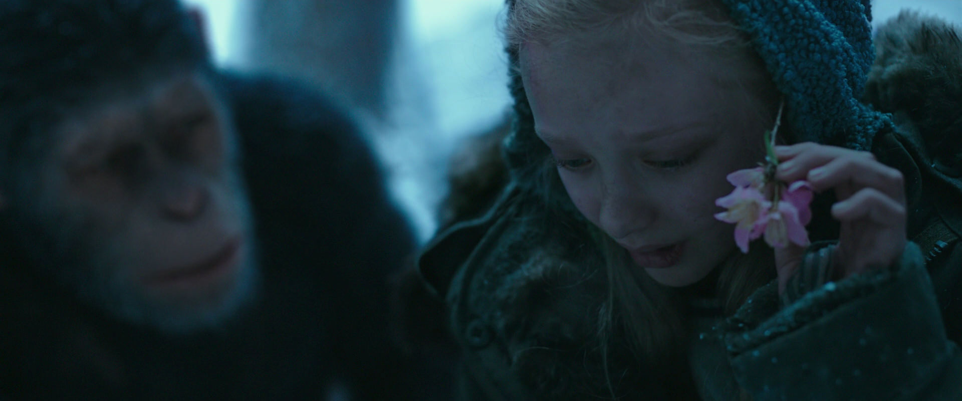 War for the Planet of the Apes (2017) screencap 6684