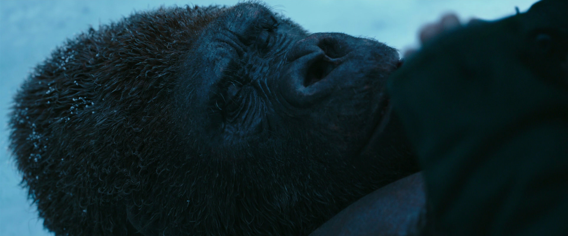 War for the Planet of the Apes (2017) HD screenshot 6689