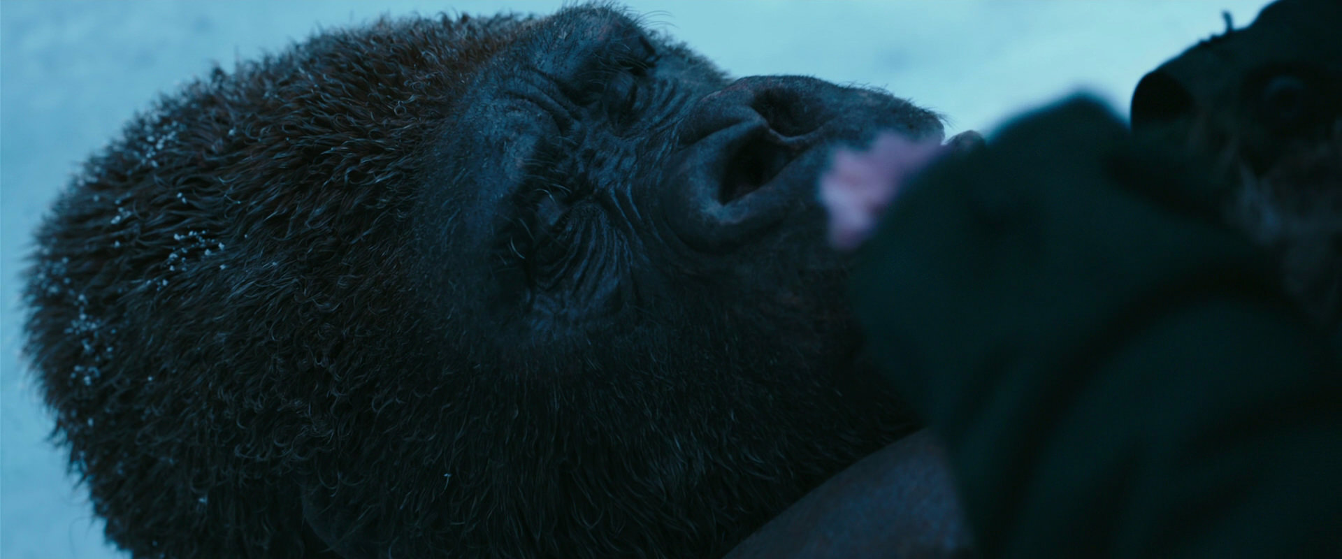 War for the Planet of the Apes (2017) screencap 6690