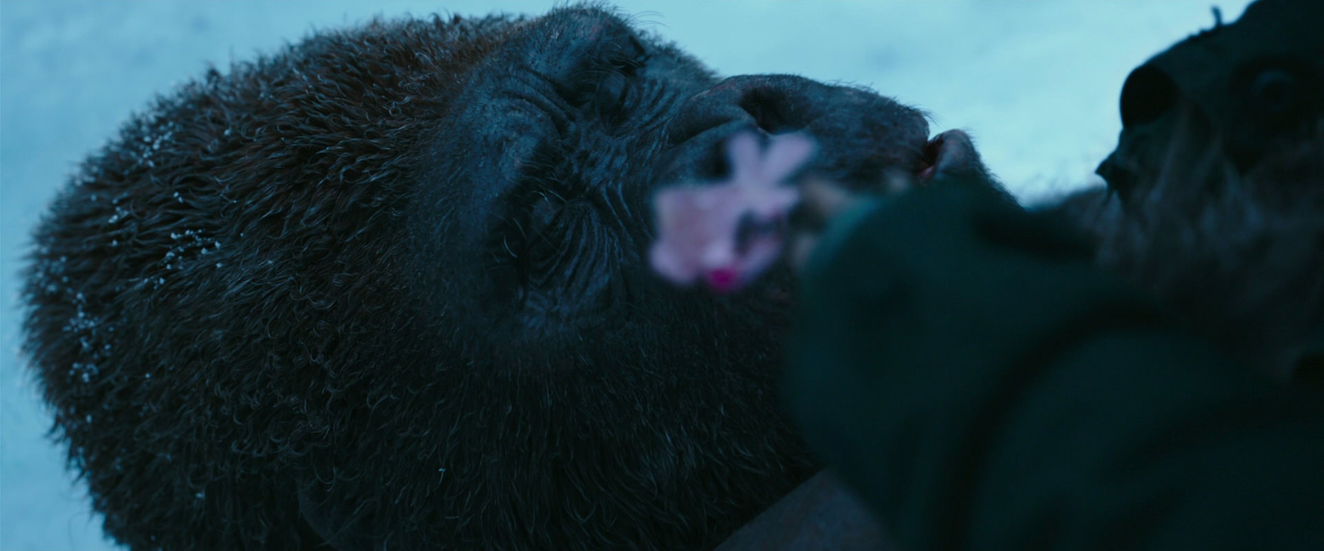 War for the Planet of the Apes (2017) movie still 6691