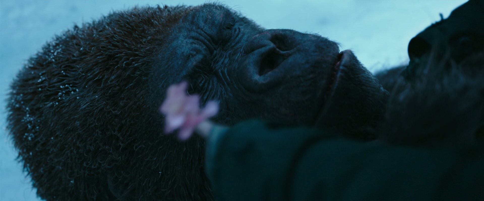 War for the Planet of the Apes (2017) HD screenshot 6692