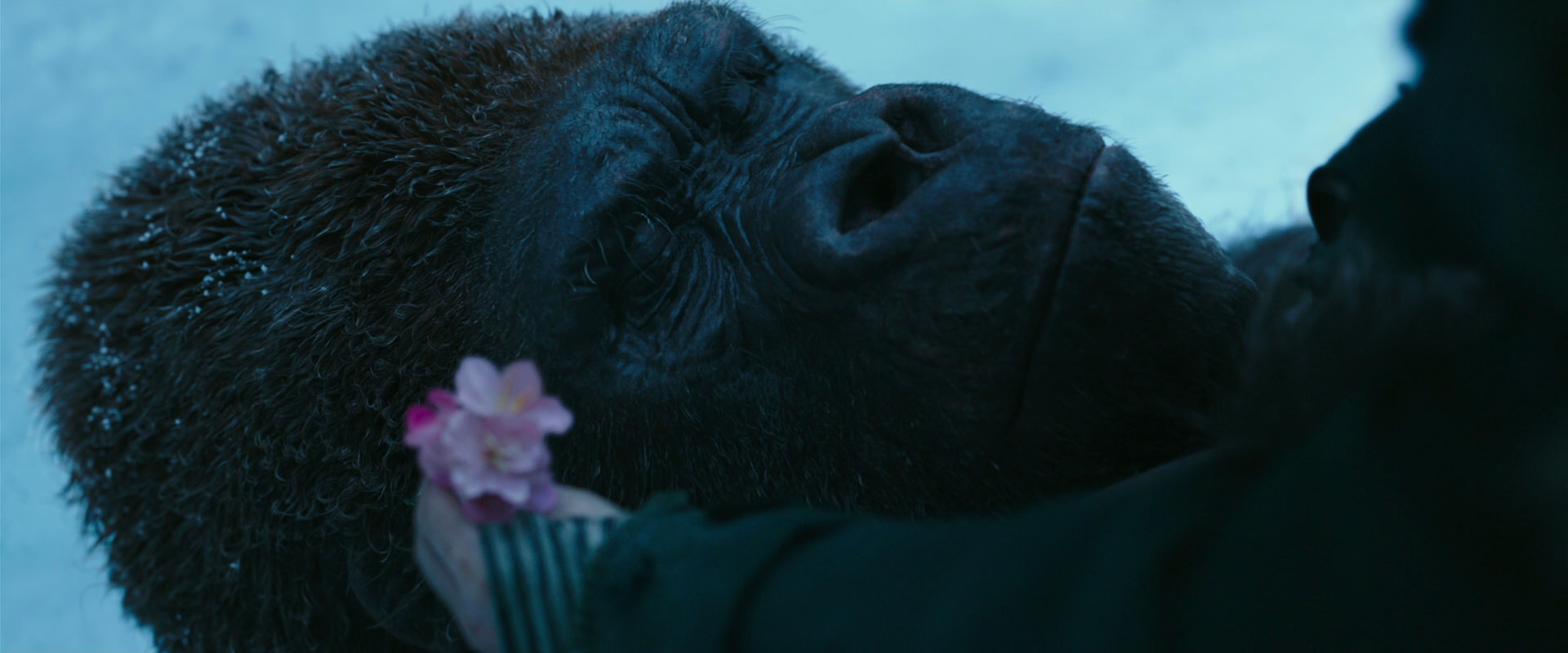 War for the Planet of the Apes (2017) movie still 6694