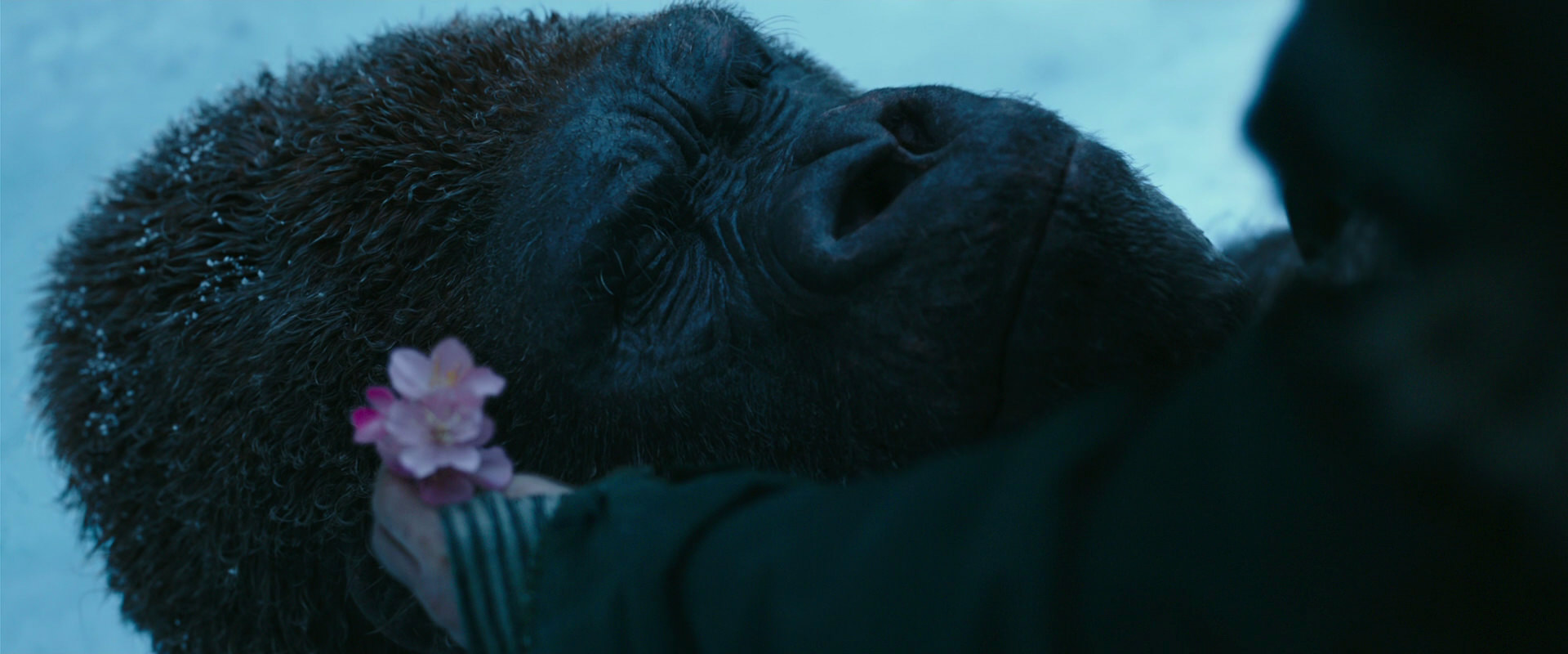 War for the Planet of the Apes (2017) HD screenshot 6695