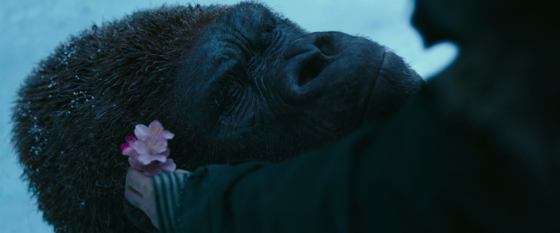 War for the Planet of the Apes (2017) screencap 6696