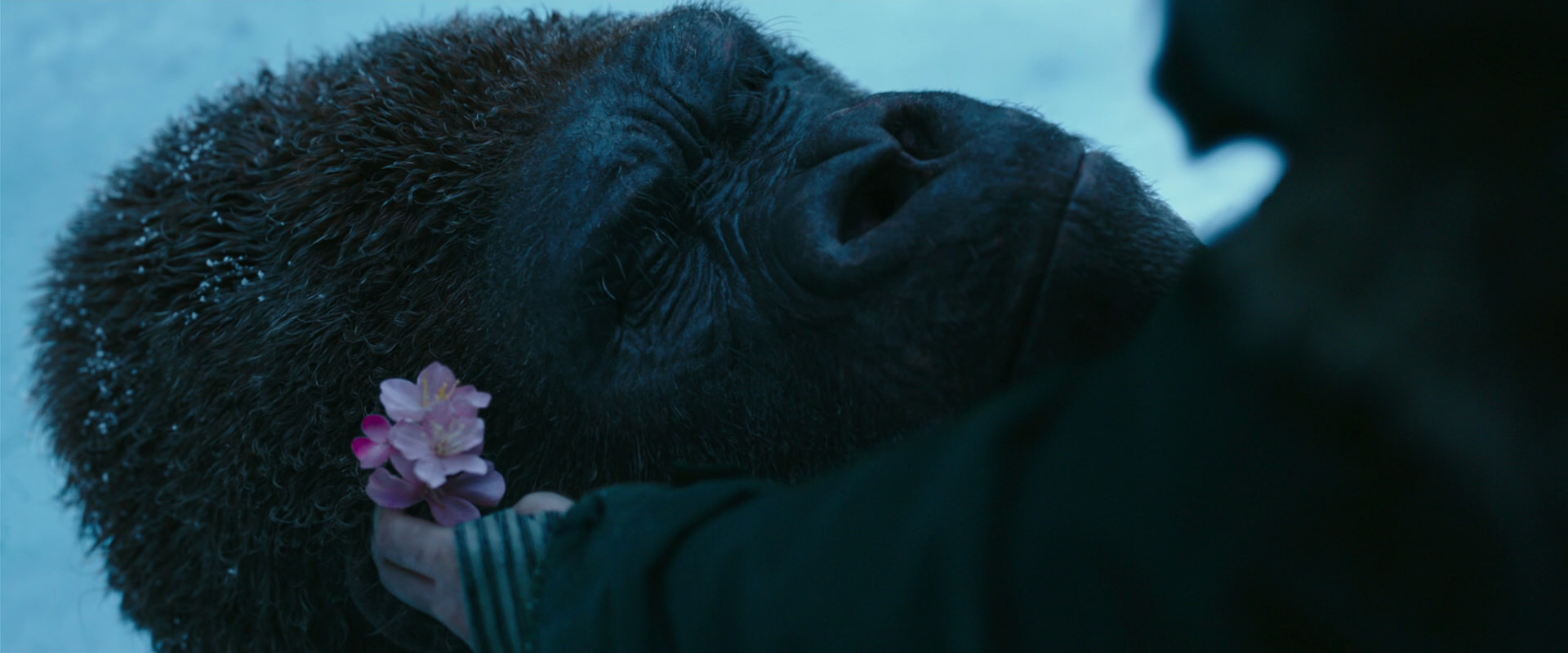 War for the Planet of the Apes (2017) movie still 6697