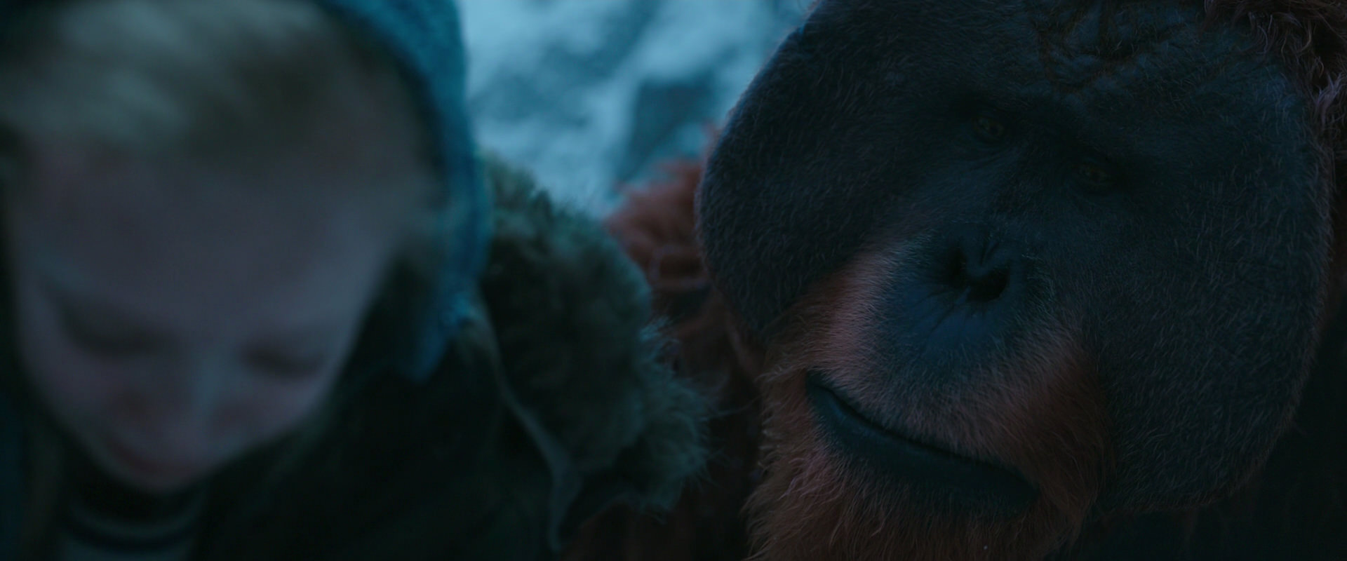 War for the Planet of the Apes (2017) movie still 6709