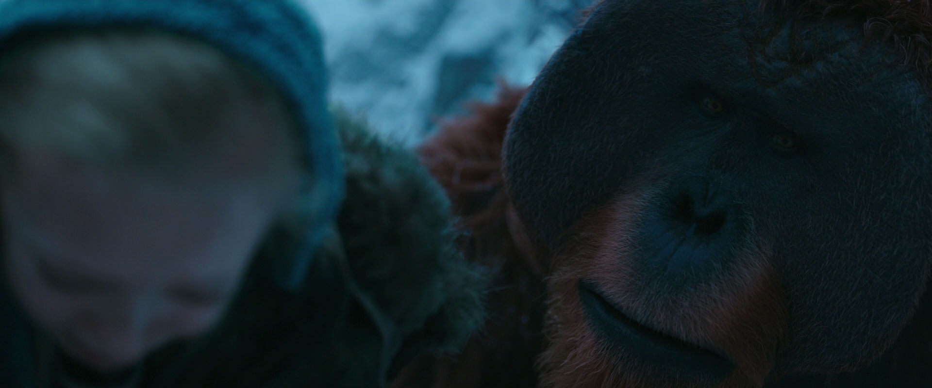 War for the Planet of the Apes (2017) movie still 6712