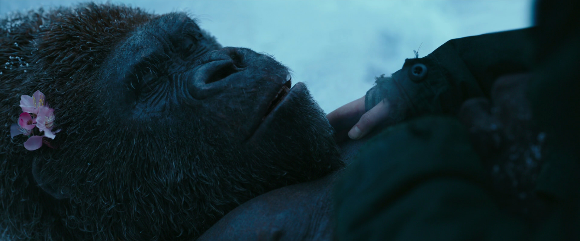 War for the Planet of the Apes (2017) movie still 6715