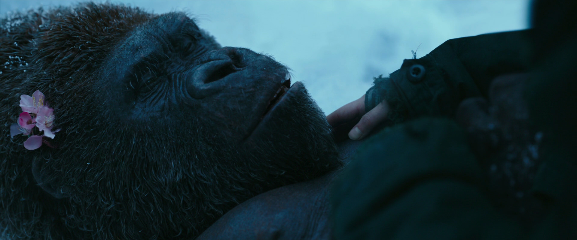 War for the Planet of the Apes (2017) HD screenshot 6716