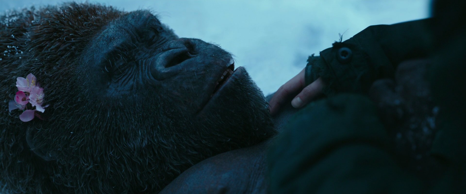 War for the Planet of the Apes (2017) screencap 6720
