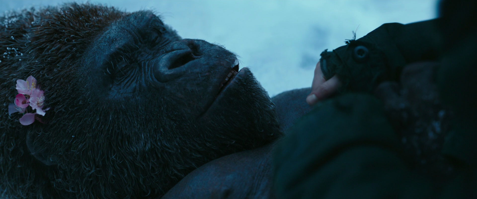 War for the Planet of the Apes (2017) movie still 6724