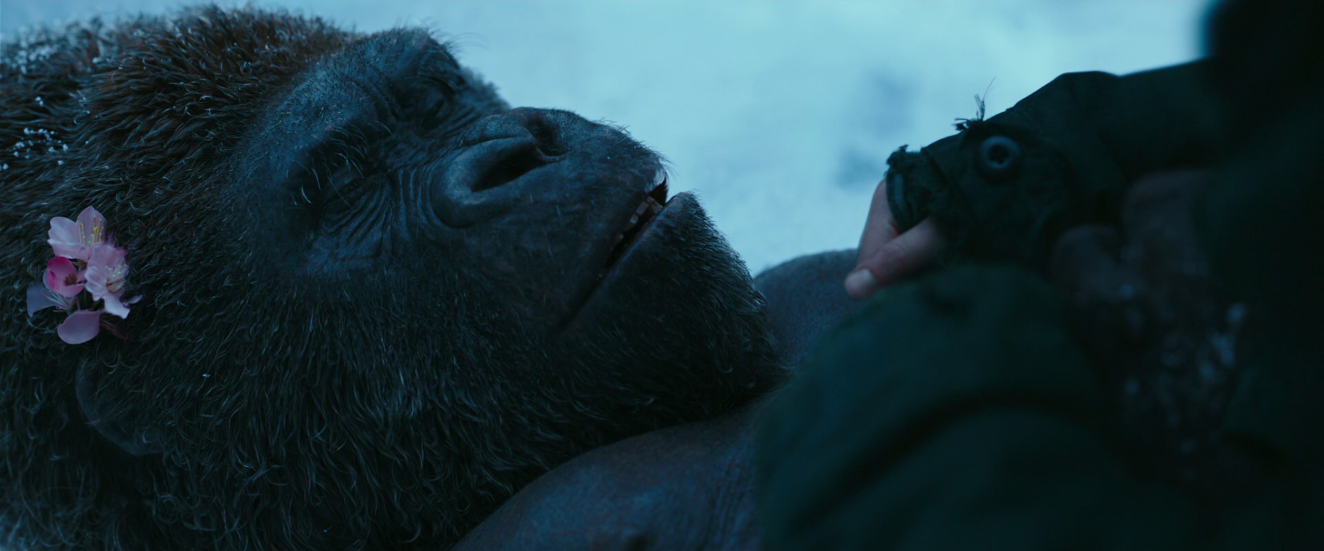 War for the Planet of the Apes (2017) movie still 6730