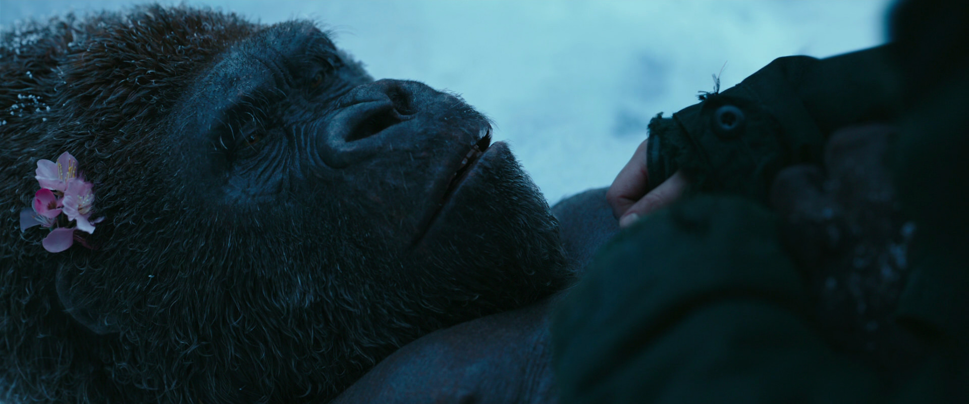 War for the Planet of the Apes (2017) HD screenshot 6740