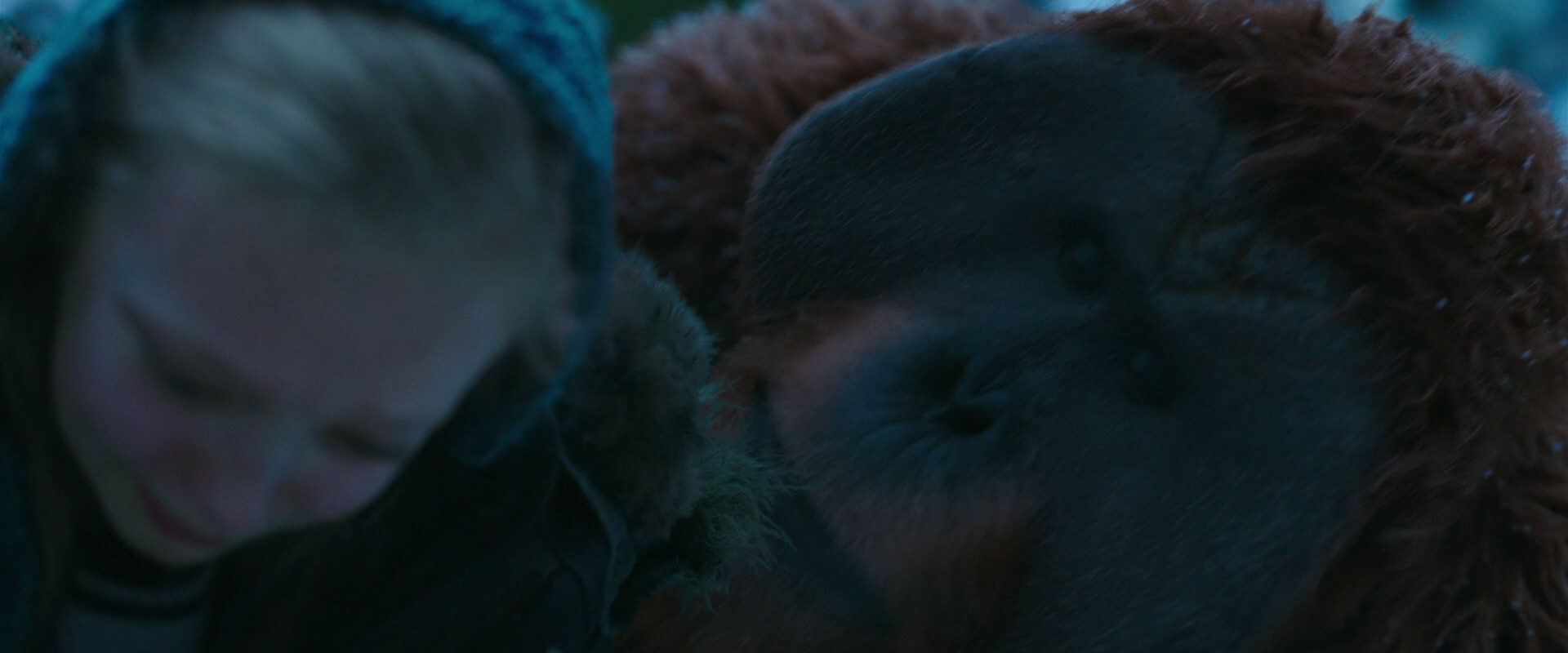 War for the Planet of the Apes (2017) screencap 6744