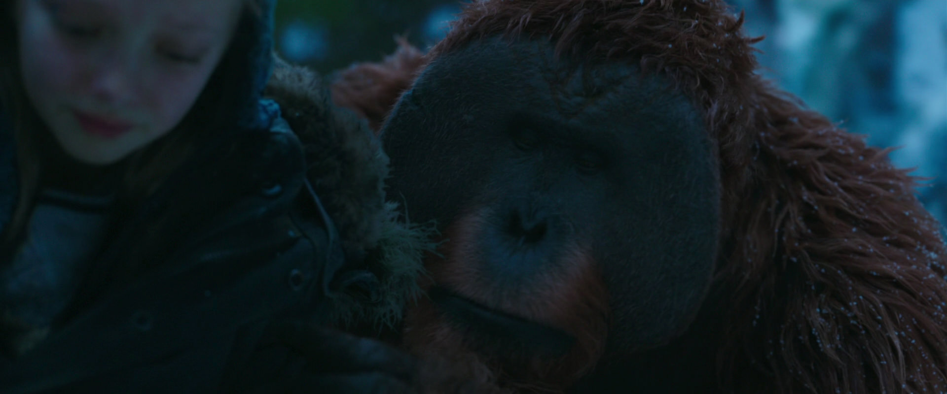 War for the Planet of the Apes (2017) HD screenshot 6752