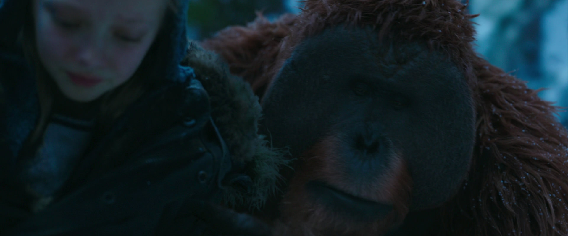 War for the Planet of the Apes (2017) screencap 6753