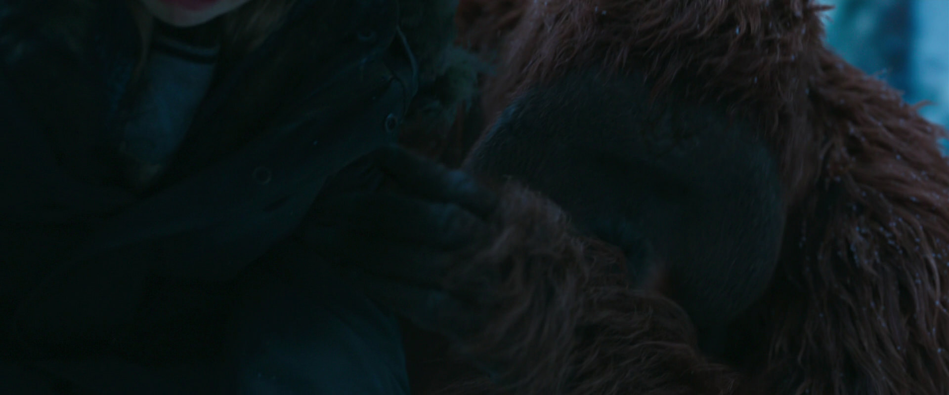 War for the Planet of the Apes (2017) screencap 6756