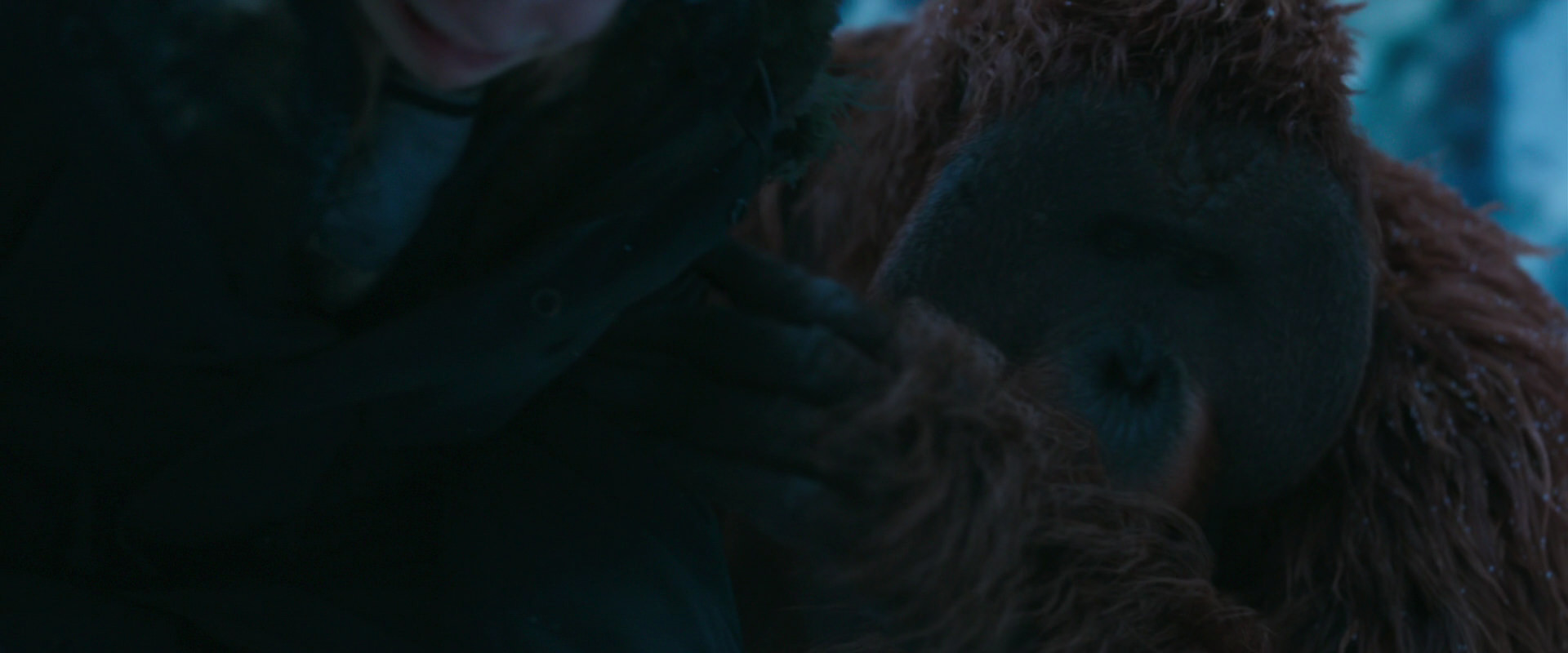 War for the Planet of the Apes (2017) movie still 6757