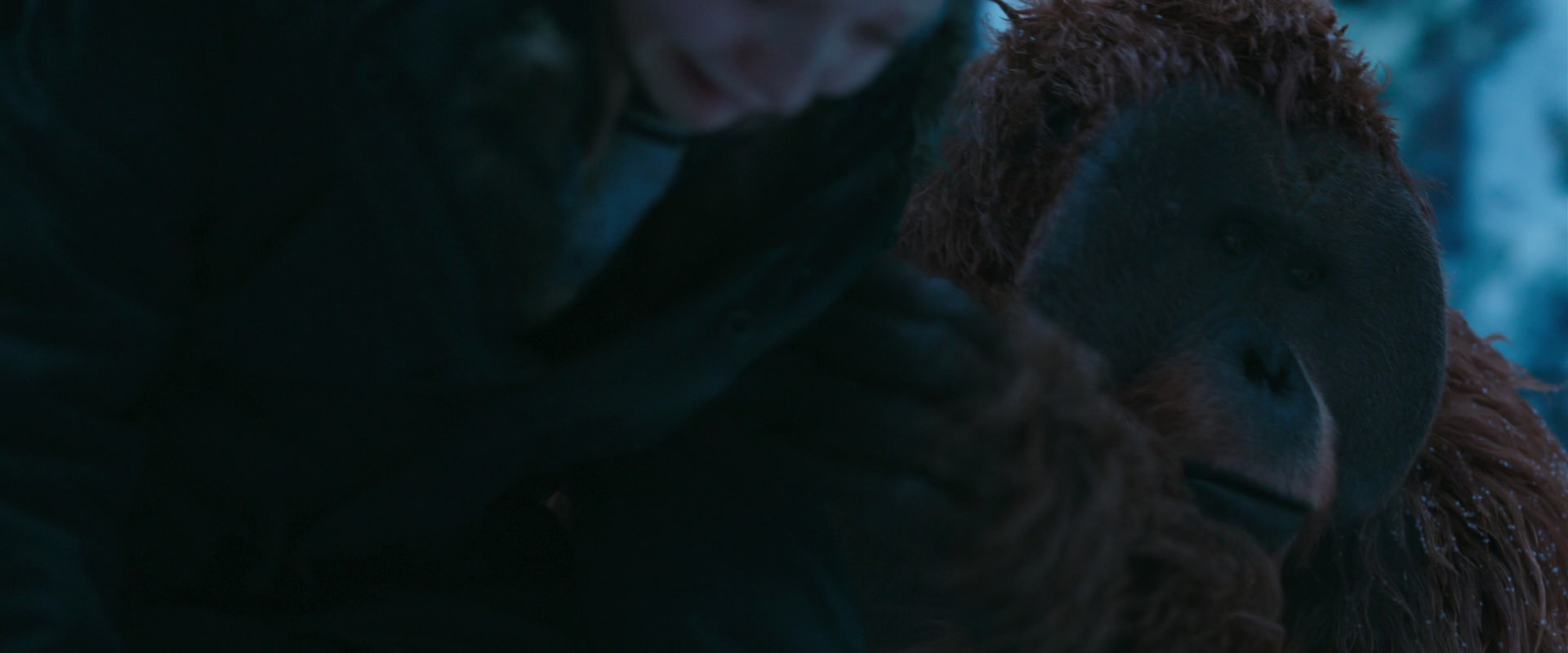 War for the Planet of the Apes (2017) HD screenshot 6758
