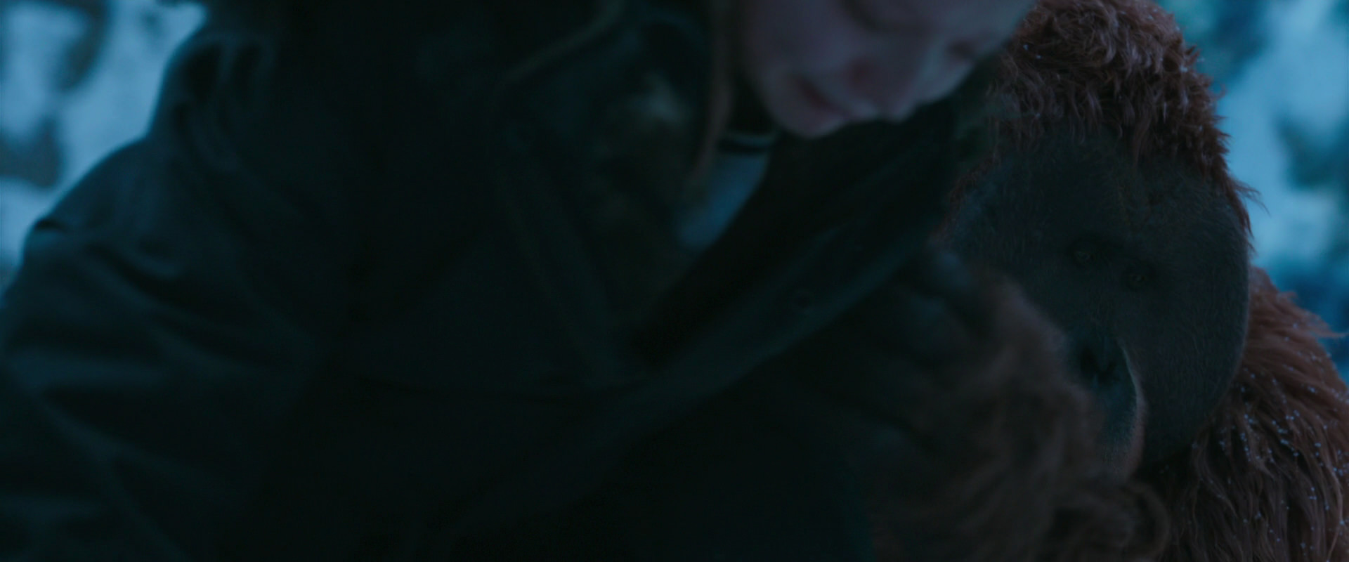 War for the Planet of the Apes (2017) screencap 6759