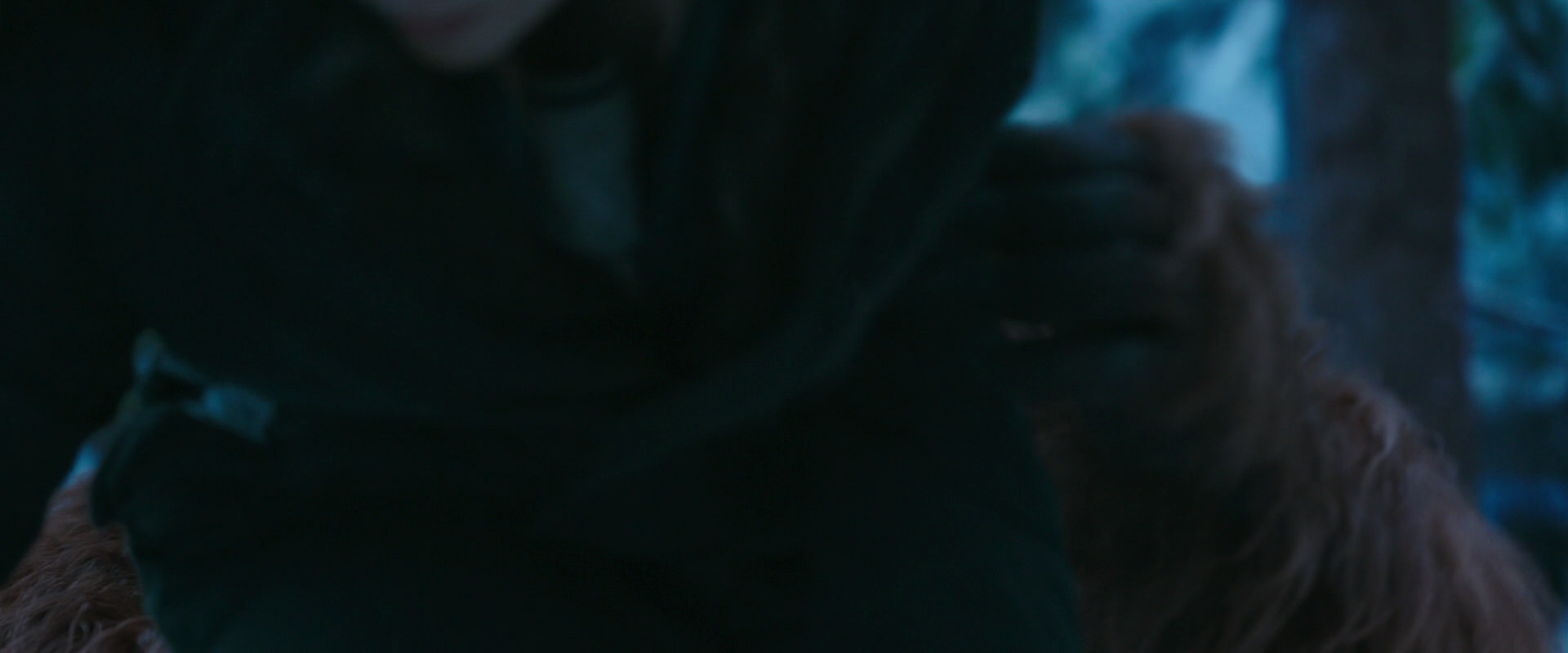 War for the Planet of the Apes (2017) screencap 6762
