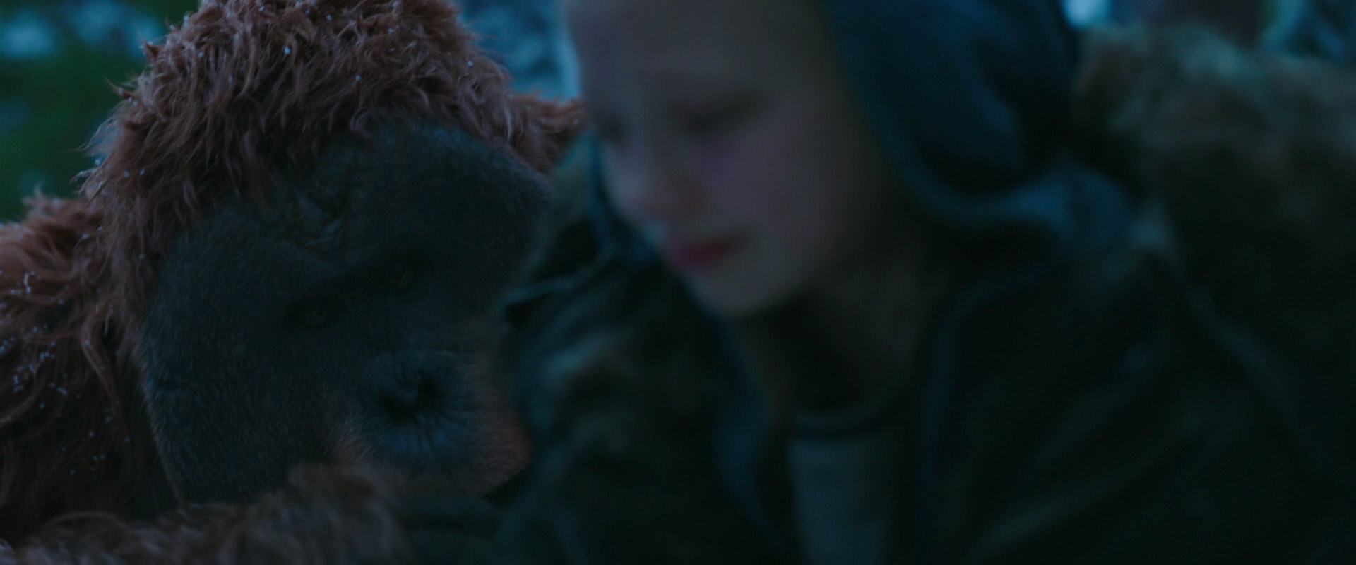 War for the Planet of the Apes (2017) movie still 6766