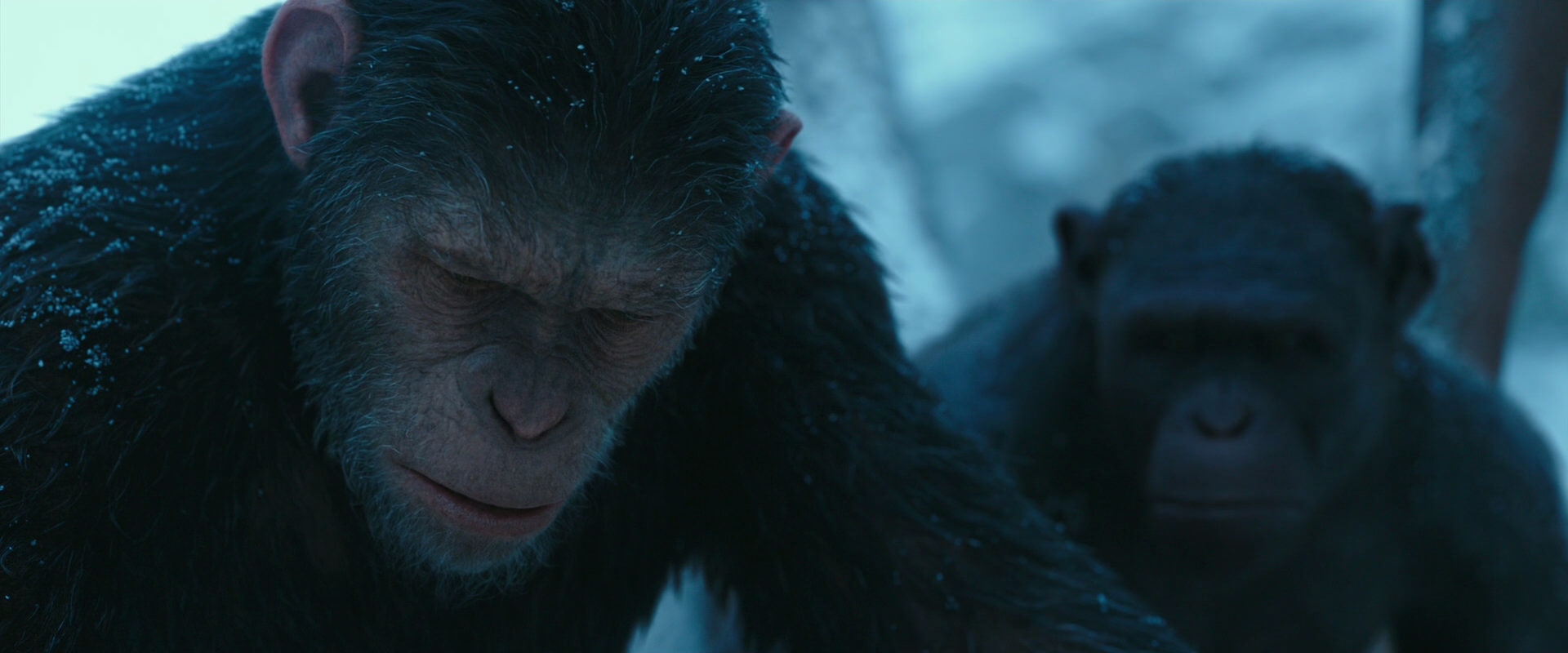 War for the Planet of the Apes (2017) HD screenshot 6773