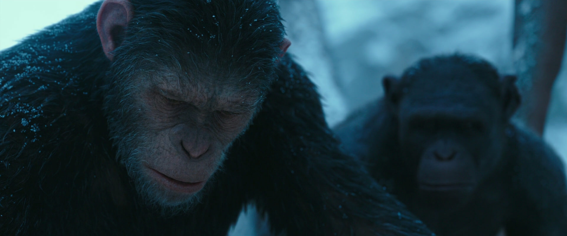 War for the Planet of the Apes (2017) screencap 6774