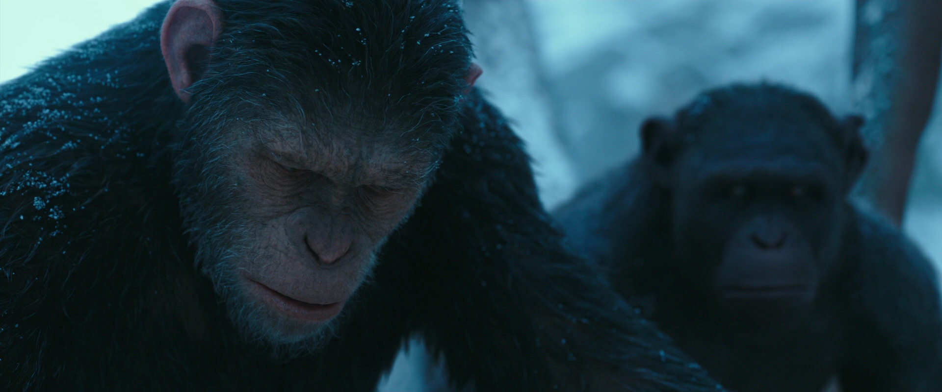 War for the Planet of the Apes (2017) movie still 6775