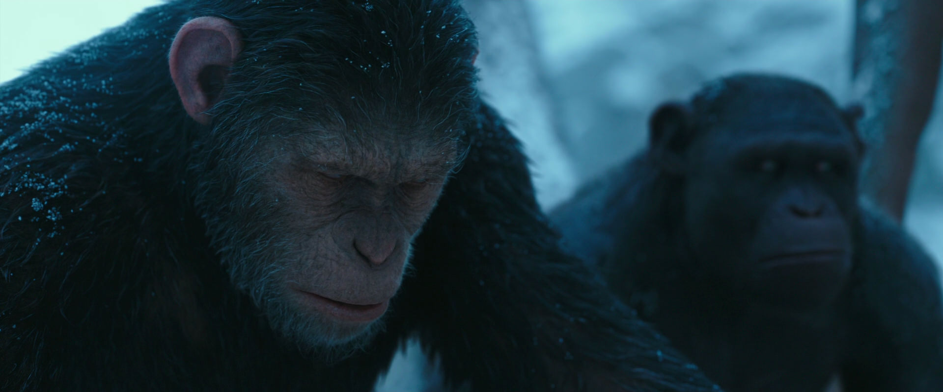 War for the Planet of the Apes (2017) screencap 6777