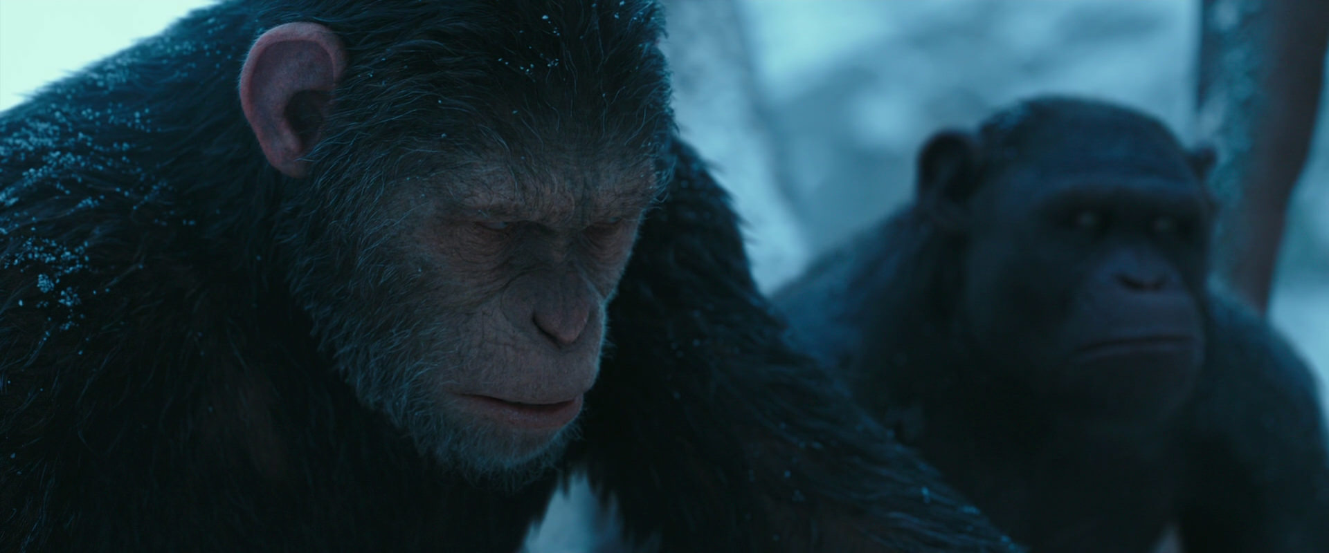 War for the Planet of the Apes (2017) HD screenshot 6779