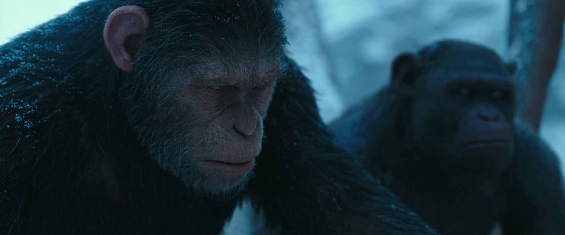 War for the Planet of the Apes (2017) screencap 6780