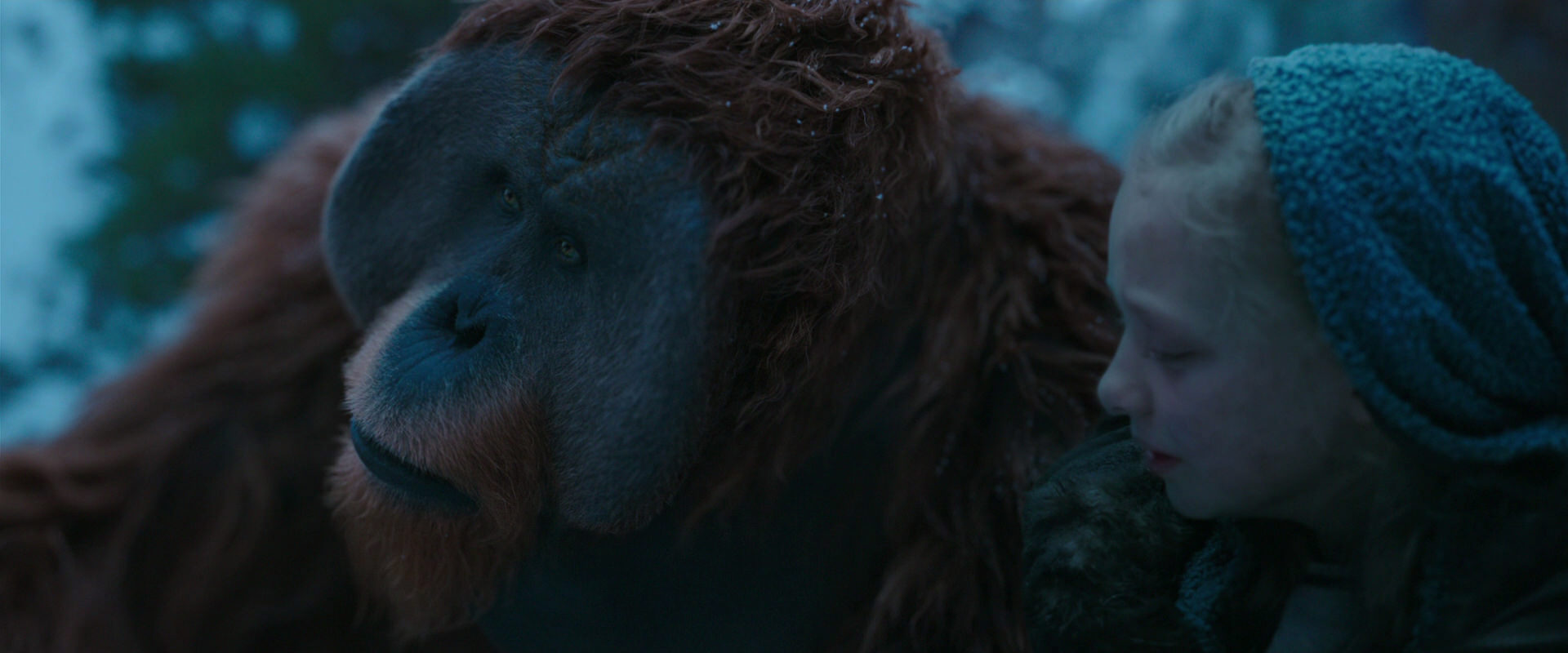War for the Planet of the Apes (2017) movie still 6781
