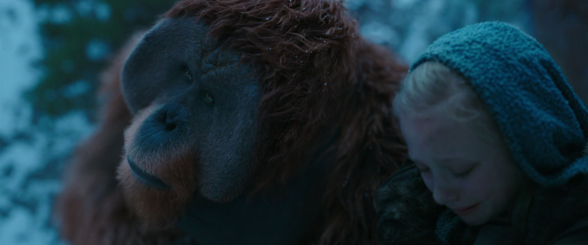 War for the Planet of the Apes (2017) screencap 6786