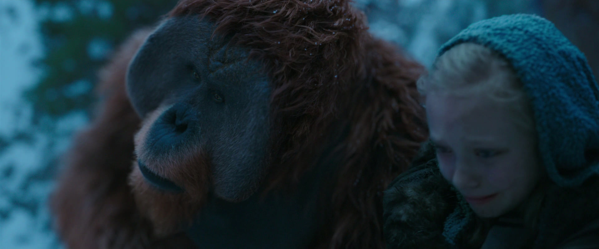 War for the Planet of the Apes (2017) movie still 6787