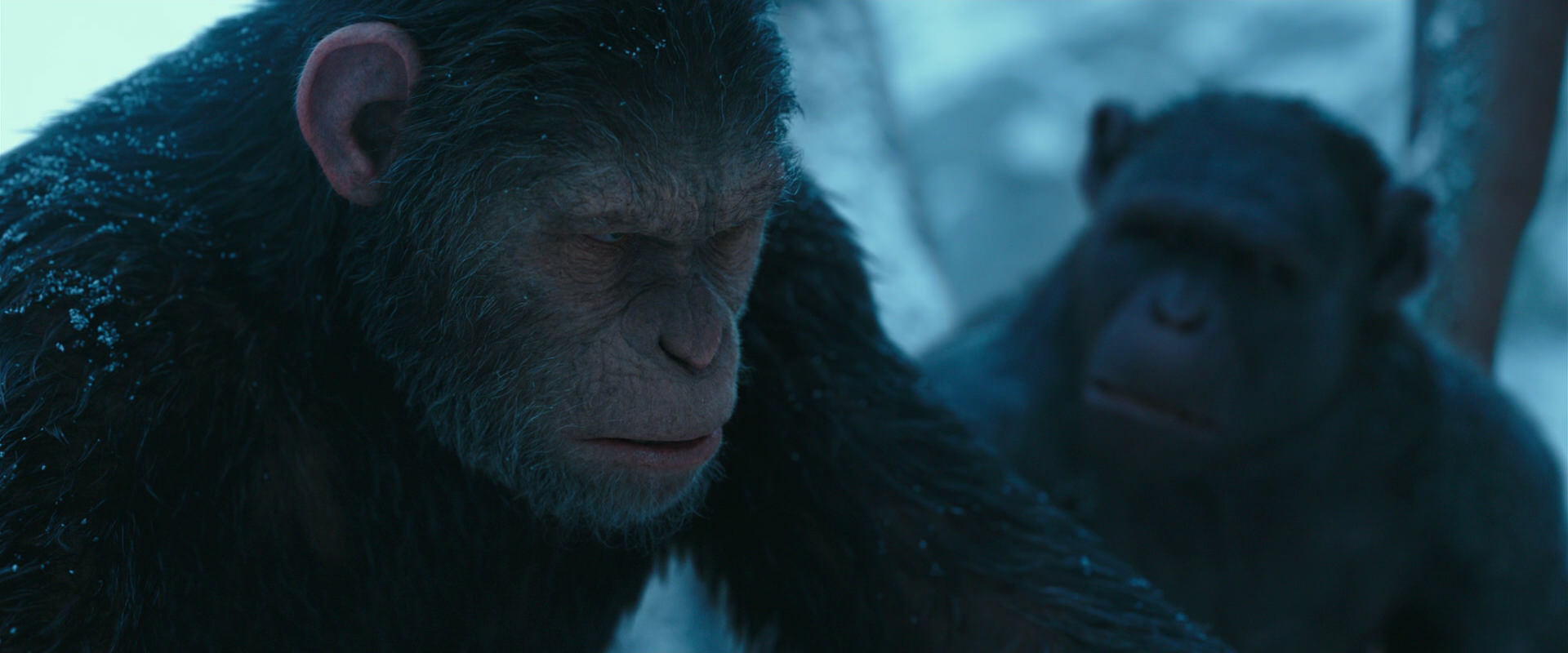 War for the Planet of the Apes (2017) HD screenshot 6791