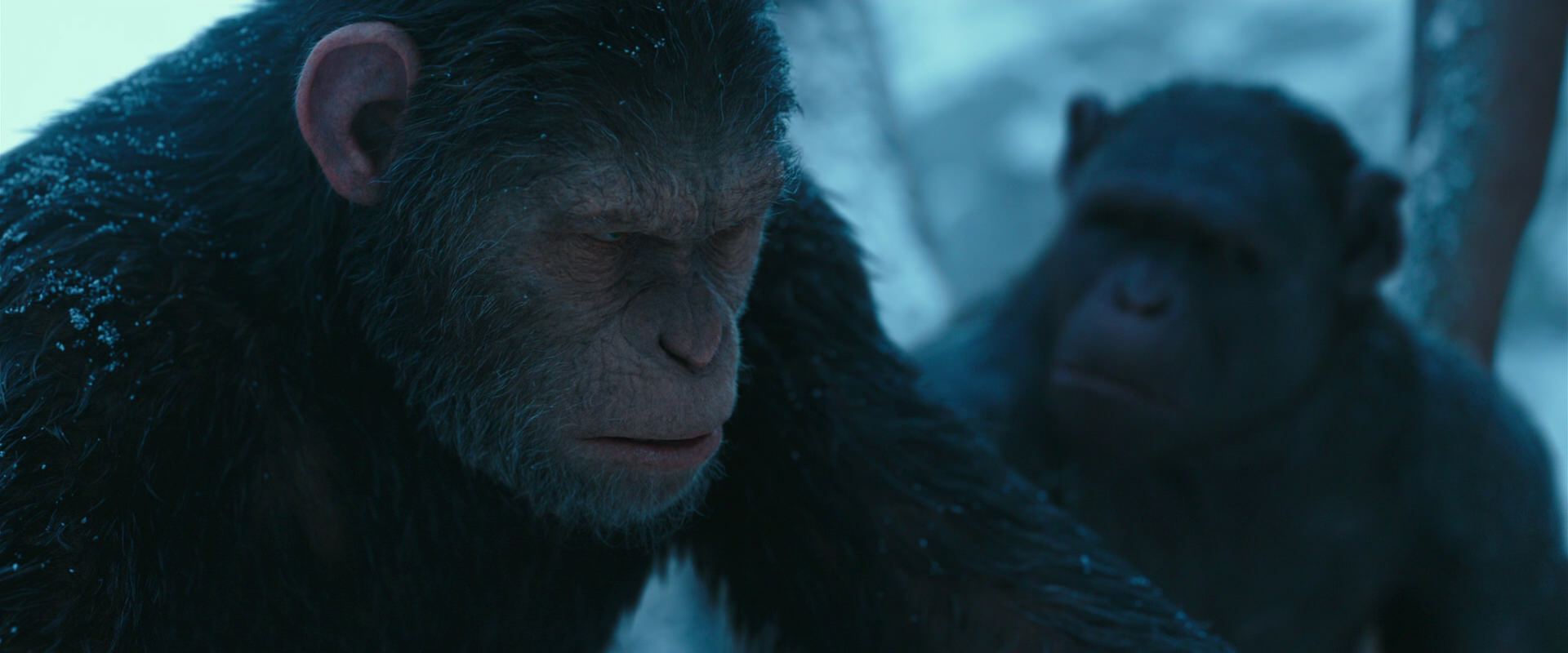 War for the Planet of the Apes (2017) screencap 6792