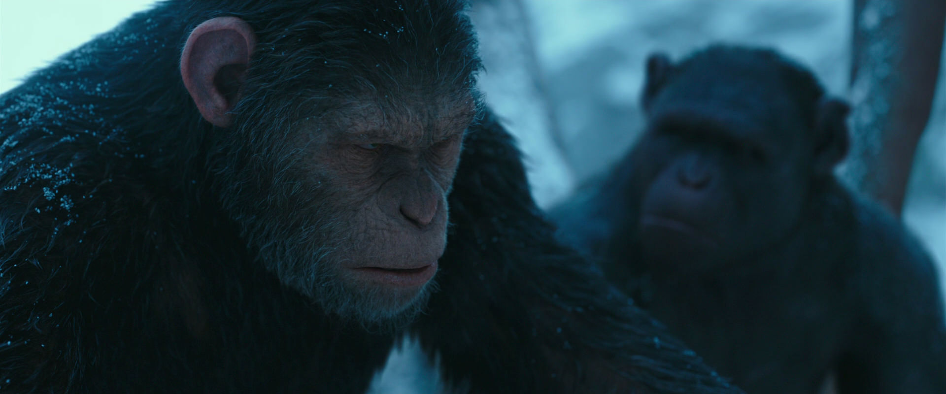 War for the Planet of the Apes (2017) movie still 6793