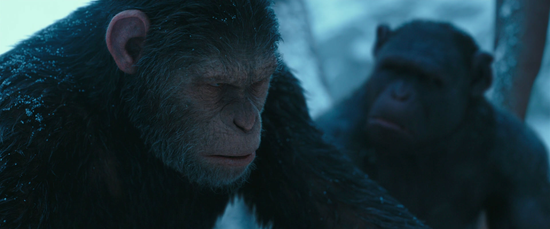 War for the Planet of the Apes (2017) HD screenshot 6794