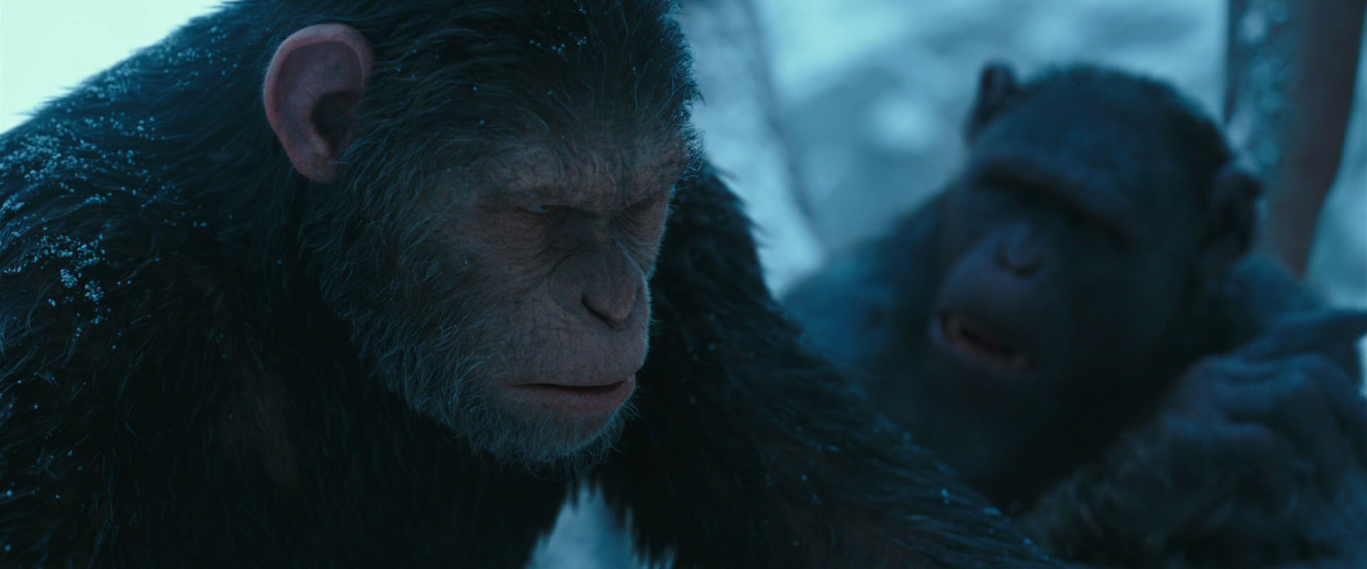 War for the Planet of the Apes (2017) screencap 6795