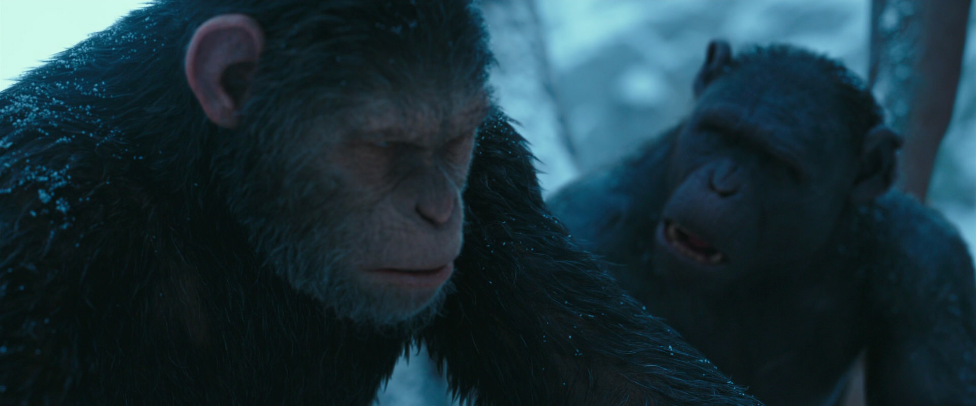 War for the Planet of the Apes (2017) movie still 6796