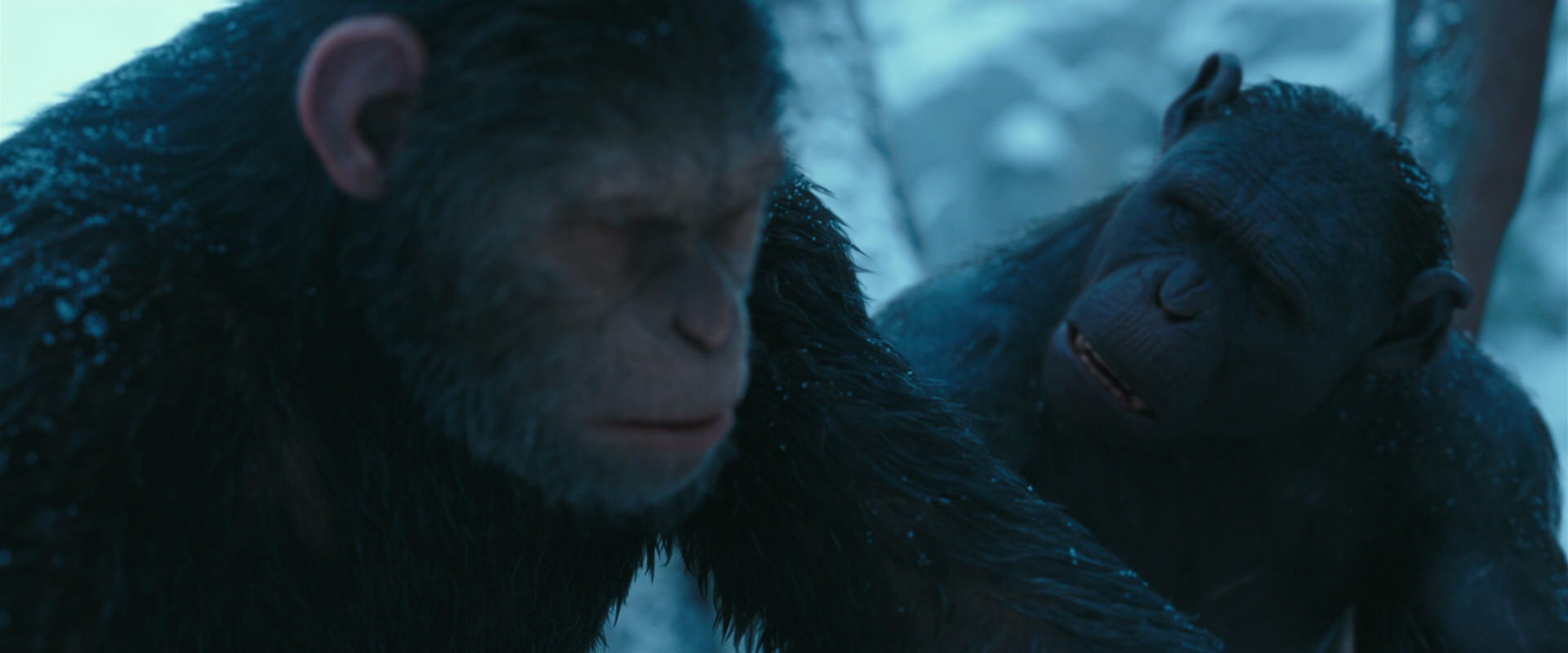 War for the Planet of the Apes (2017) HD screenshot 6797