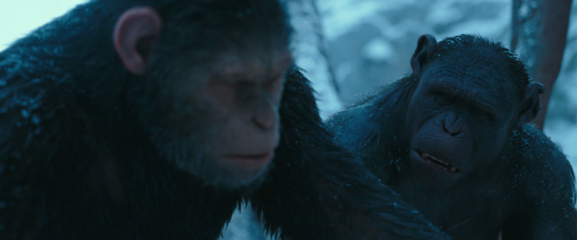 War for the Planet of the Apes (2017) screencap 6798