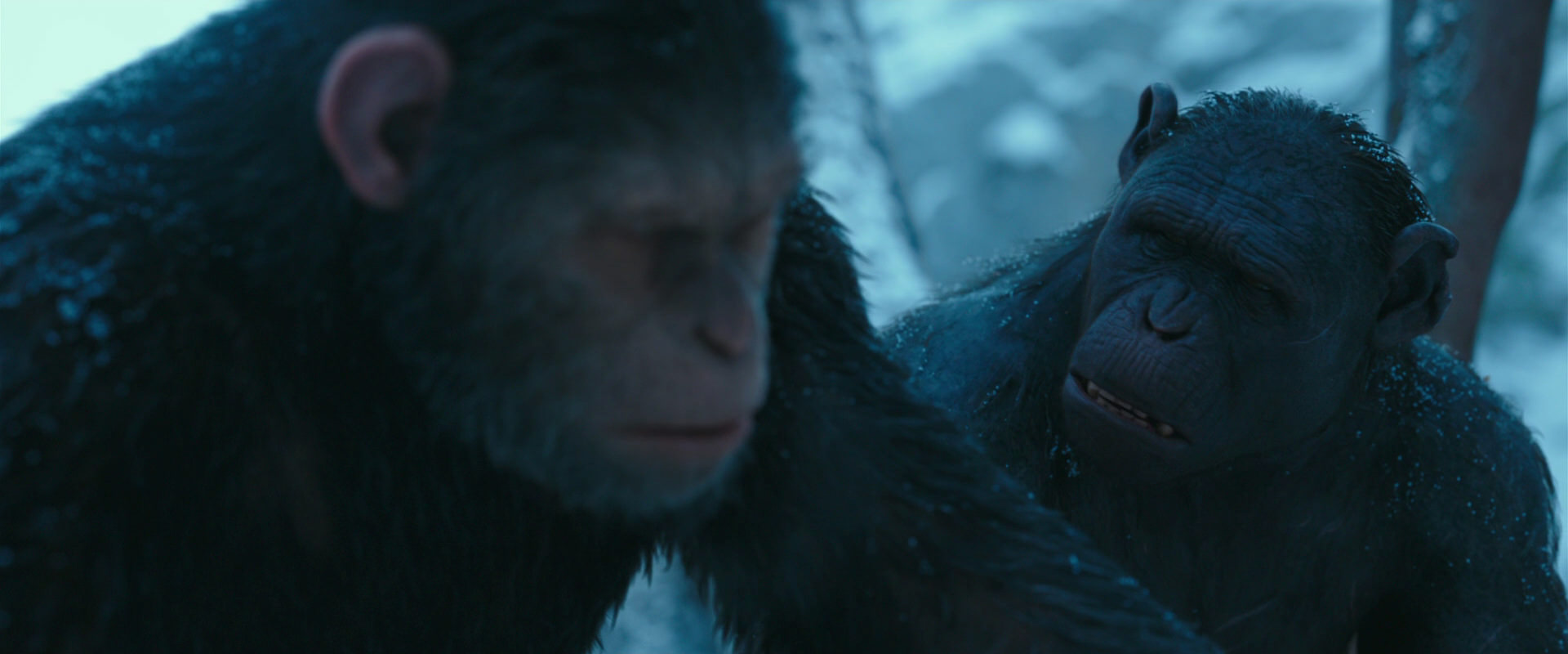 War for the Planet of the Apes (2017) movie still 6799