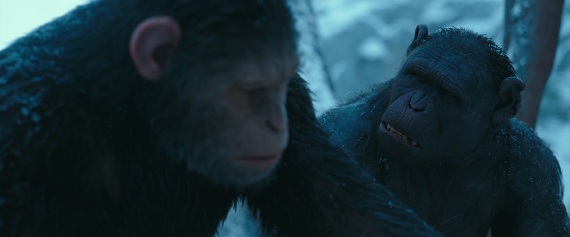 War for the Planet of the Apes (2017) HD screenshot 6800