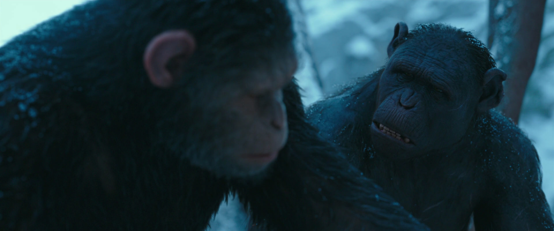 War for the Planet of the Apes (2017) screencap 6801