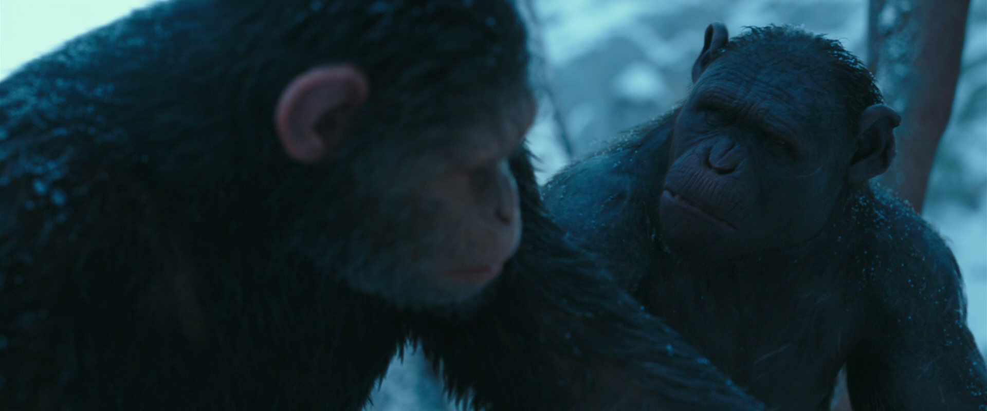 War for the Planet of the Apes (2017) movie still 6802