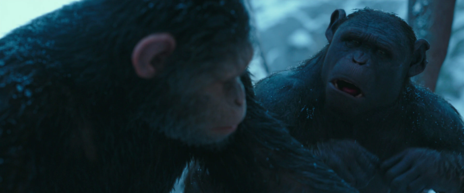 War for the Planet of the Apes (2017) HD screenshot 6803